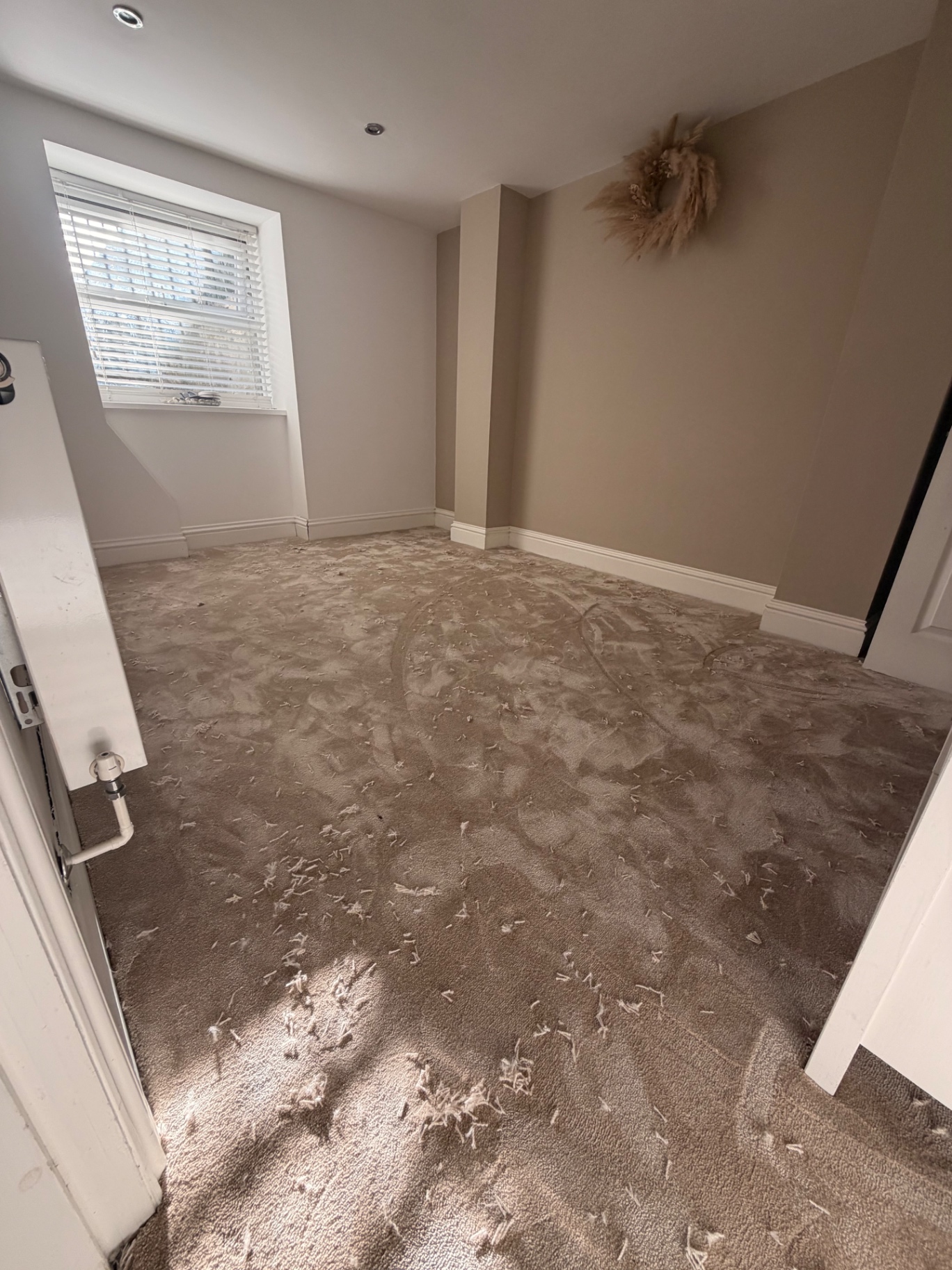 Beige bedroom carpet