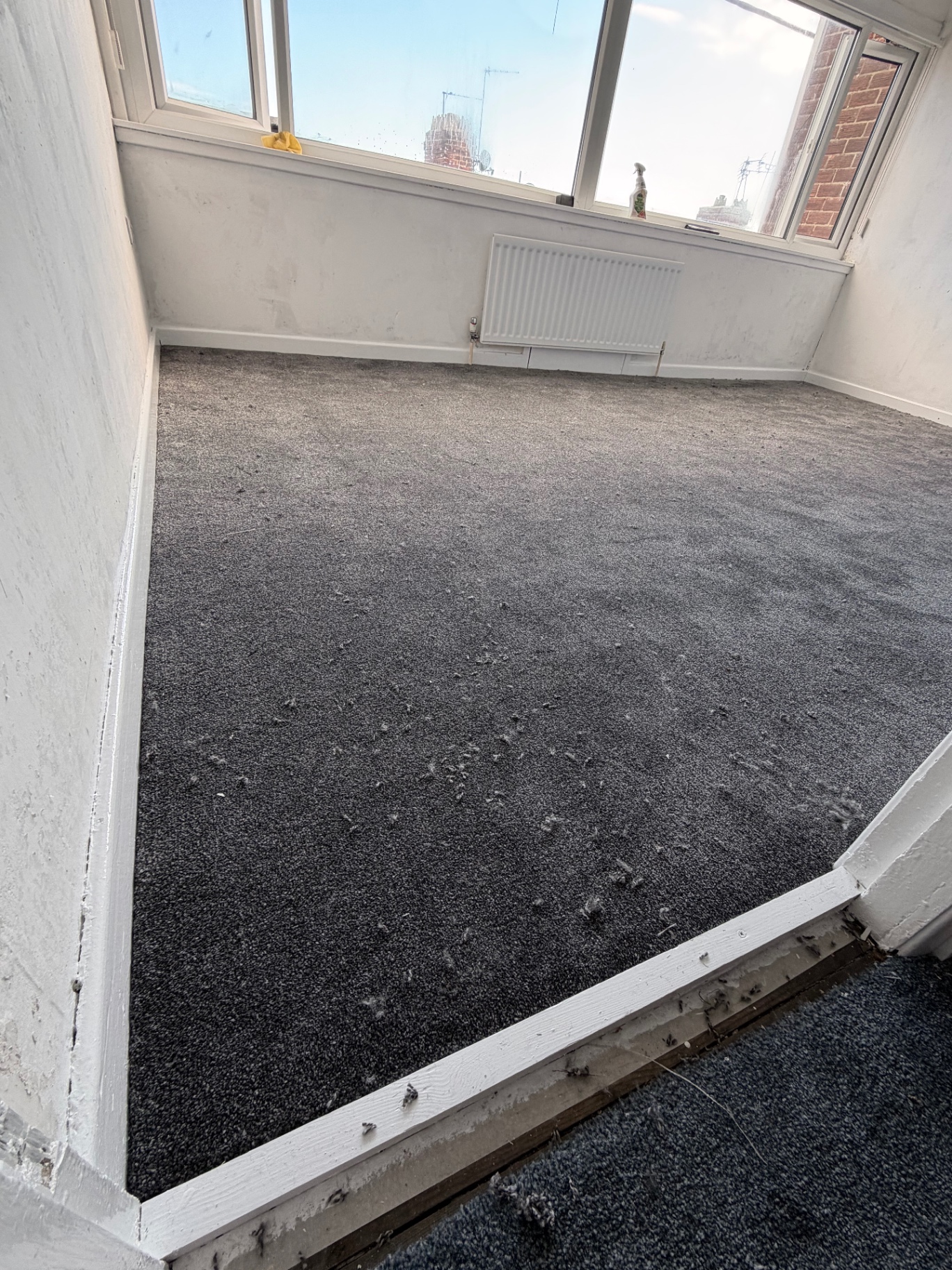 Charcoal bedroom carpet