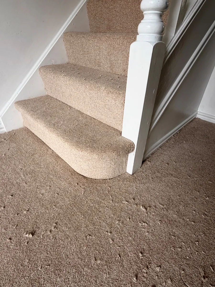 Bullnose bottom step wrapped in beige carpet in Yarm